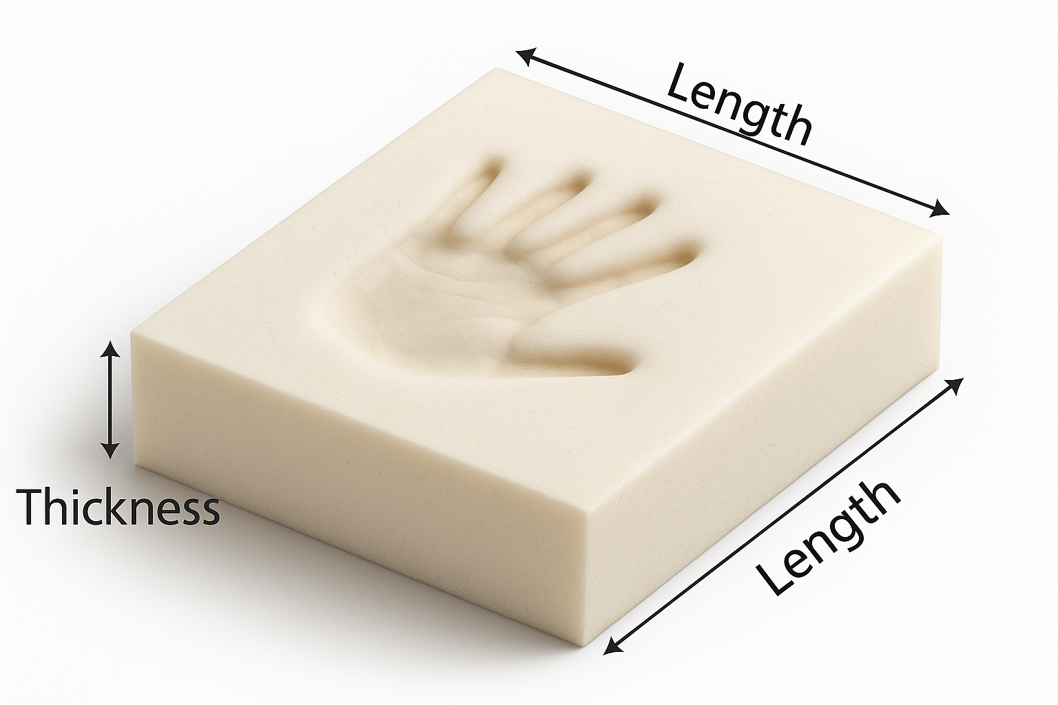 Reference Image