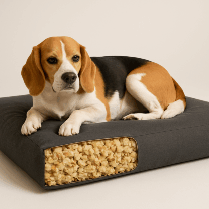 Heavy duty foam with beagle