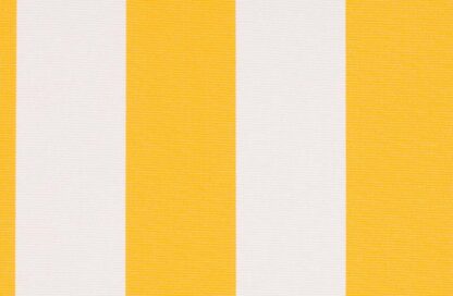Lines Amarillo
