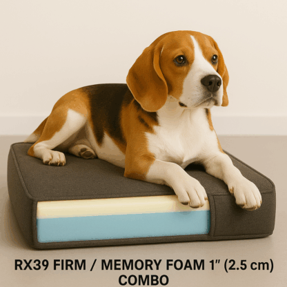 Dog on rx39 + 1" memory foam combo