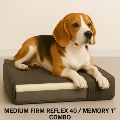 Dog on 1" reflex combo