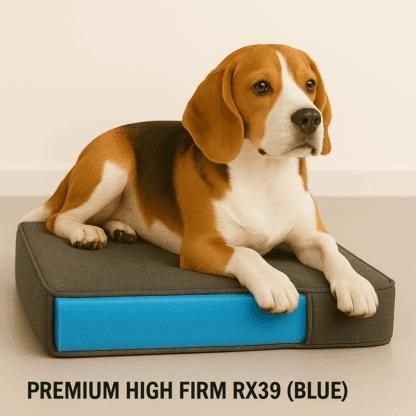 Dog on Rx39 dog bed