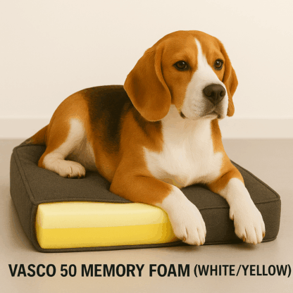 Dog on memory foam