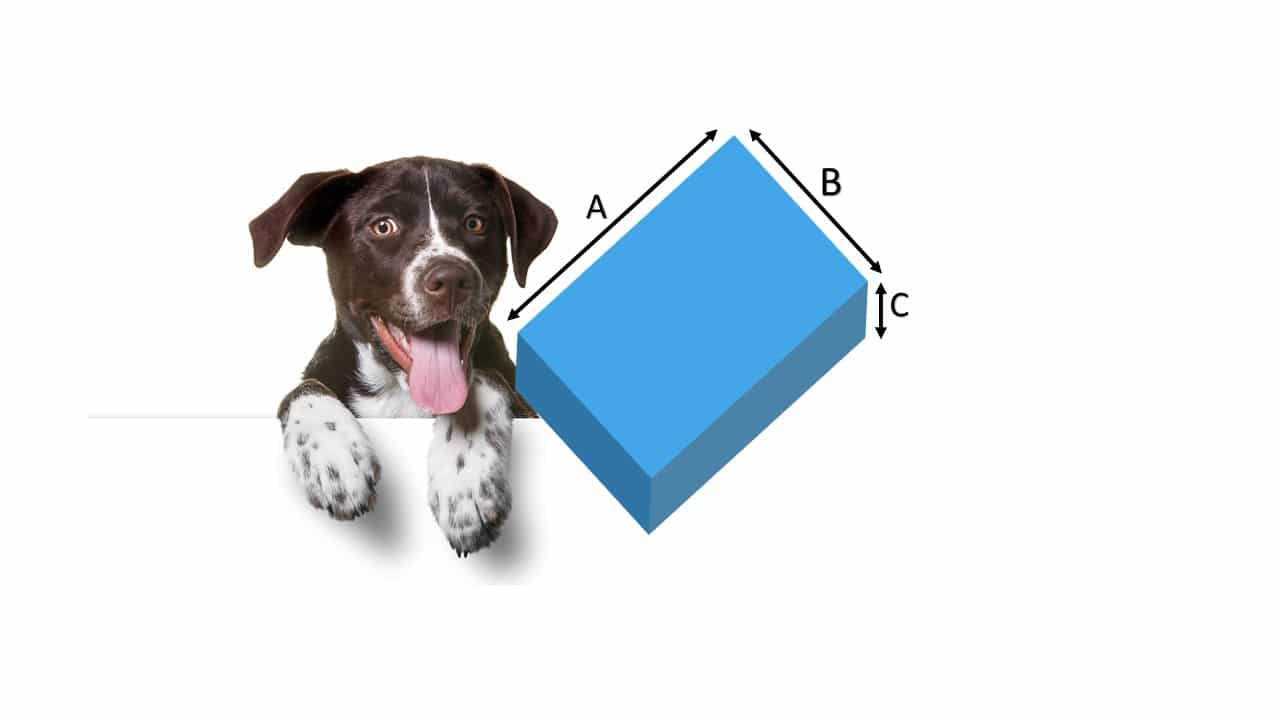 Reference Image