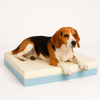 Dog on memory combo