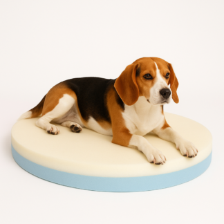 Circular dog bed combo