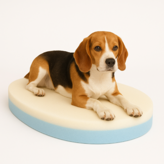 Ovel shaped dog bed