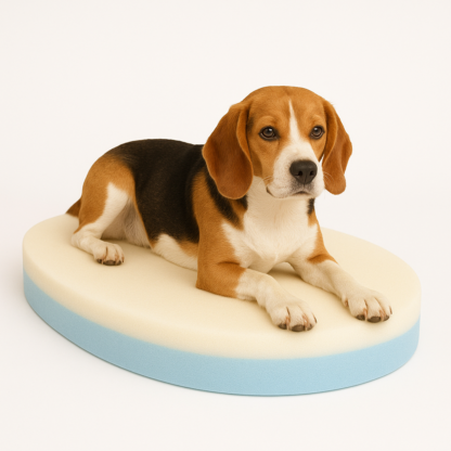 Ovel shaped dog bed