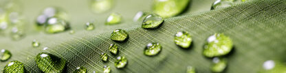 Water Resistant Fabrics