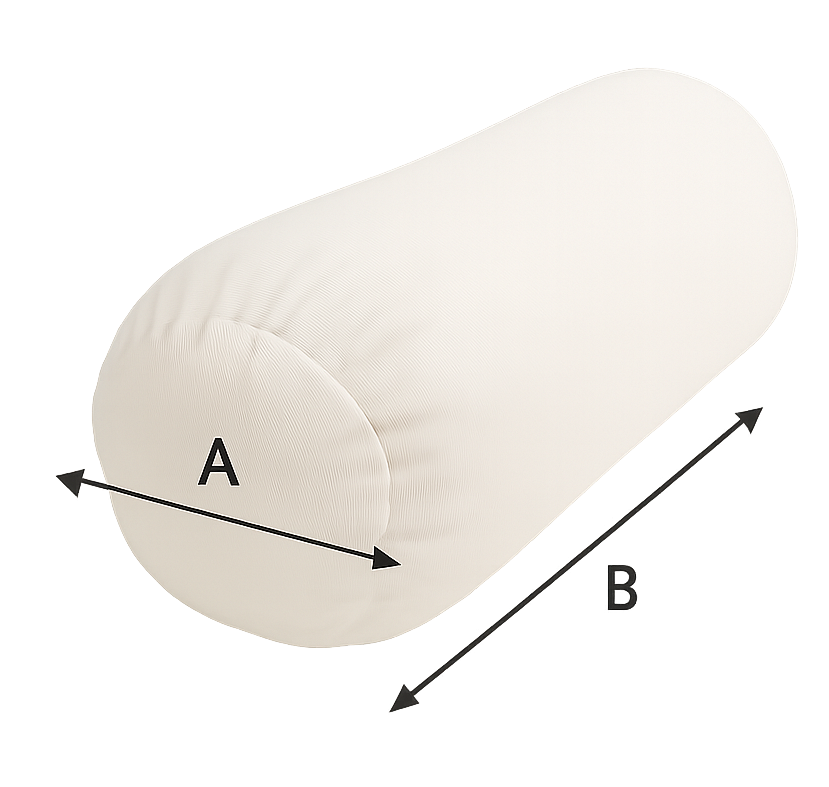 Reference Image
