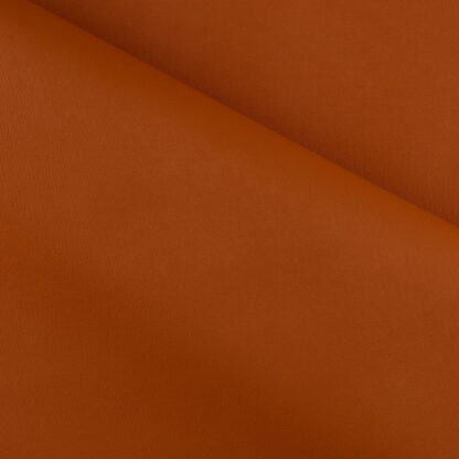 Pasha-Saffron-1