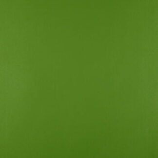Legend Fern Contract Vinyl (per mtr)
